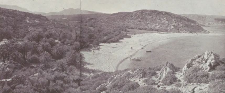 Ρυθμιστική μελέτη Σητείας καί τουριστικής άναπτύξεως Βάϊ/Φοινικοδάσους